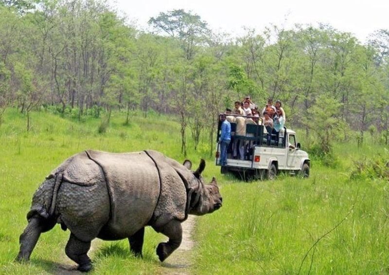 Chitwan