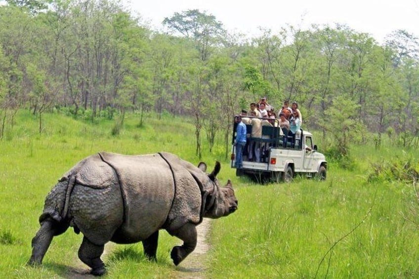 Chitwan