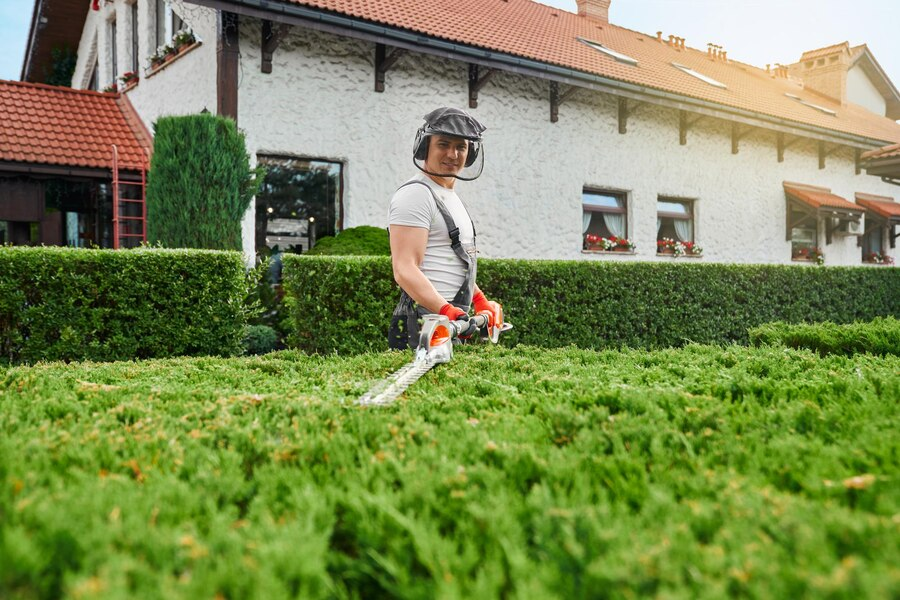 curb appeal