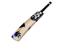 Bat
